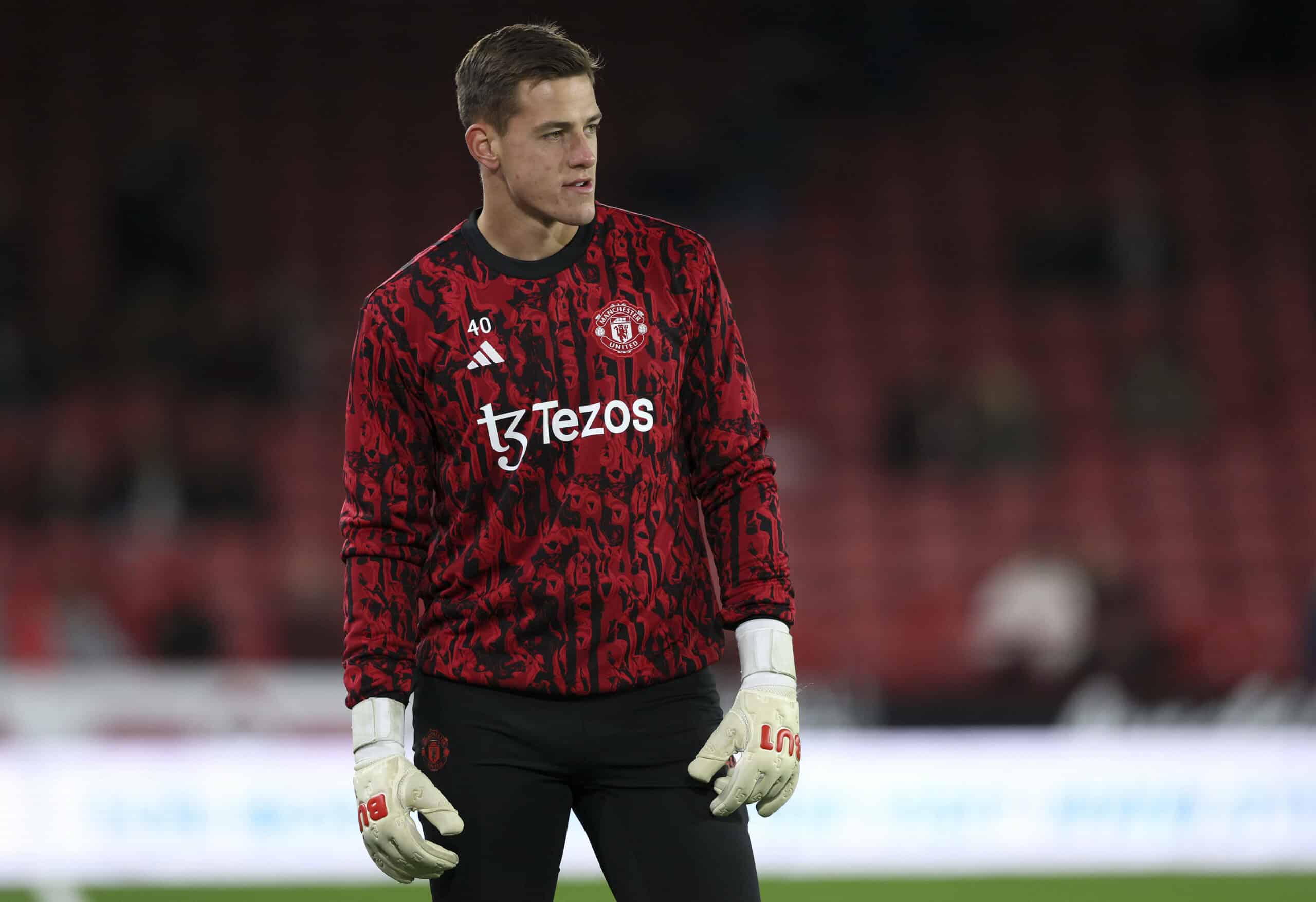 Hull City, Radek Vitek için Manchester United ile Yarışta