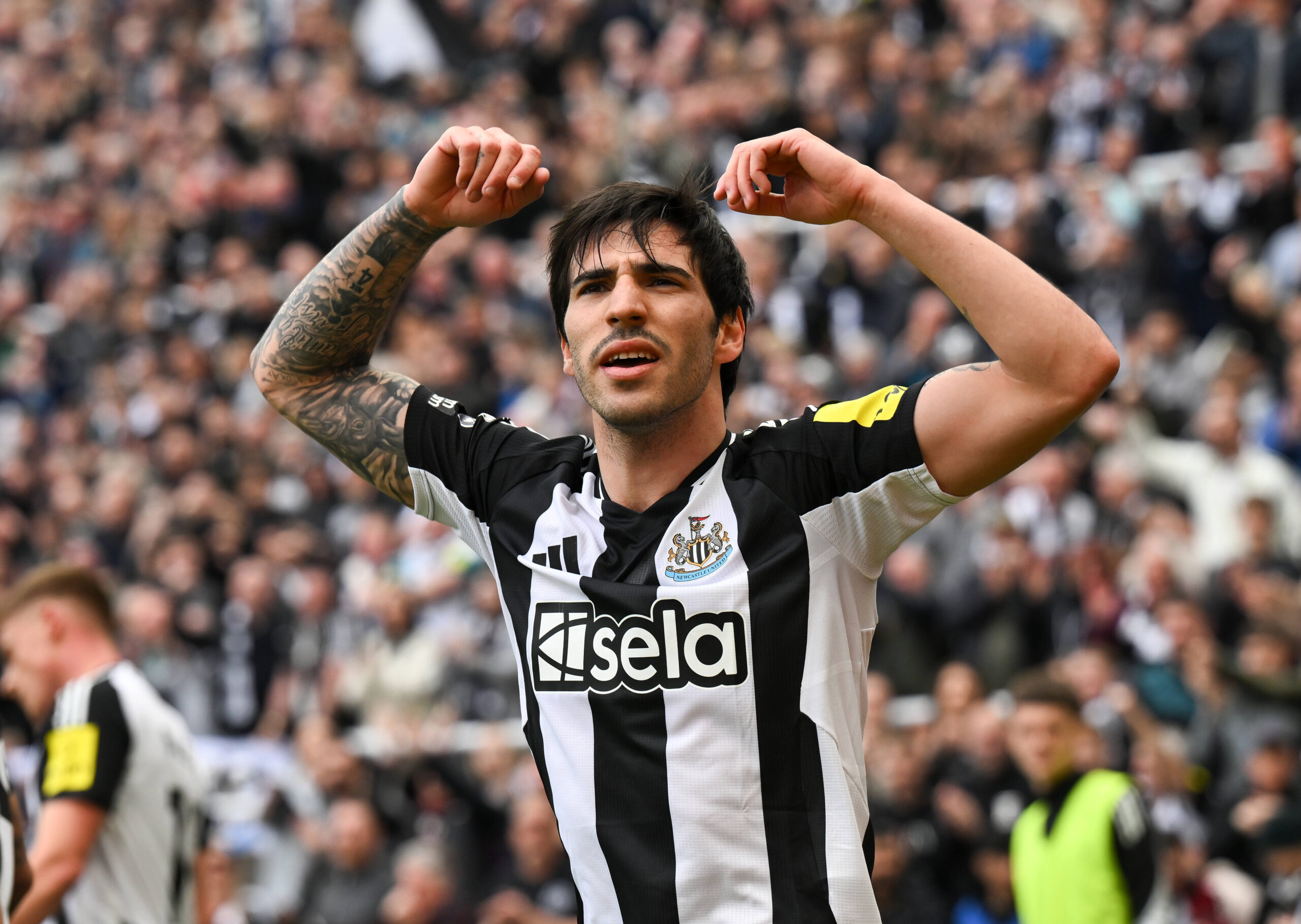 Tottenham, Sandro Tonali için 100 Milyon Sterlinlik Atakta