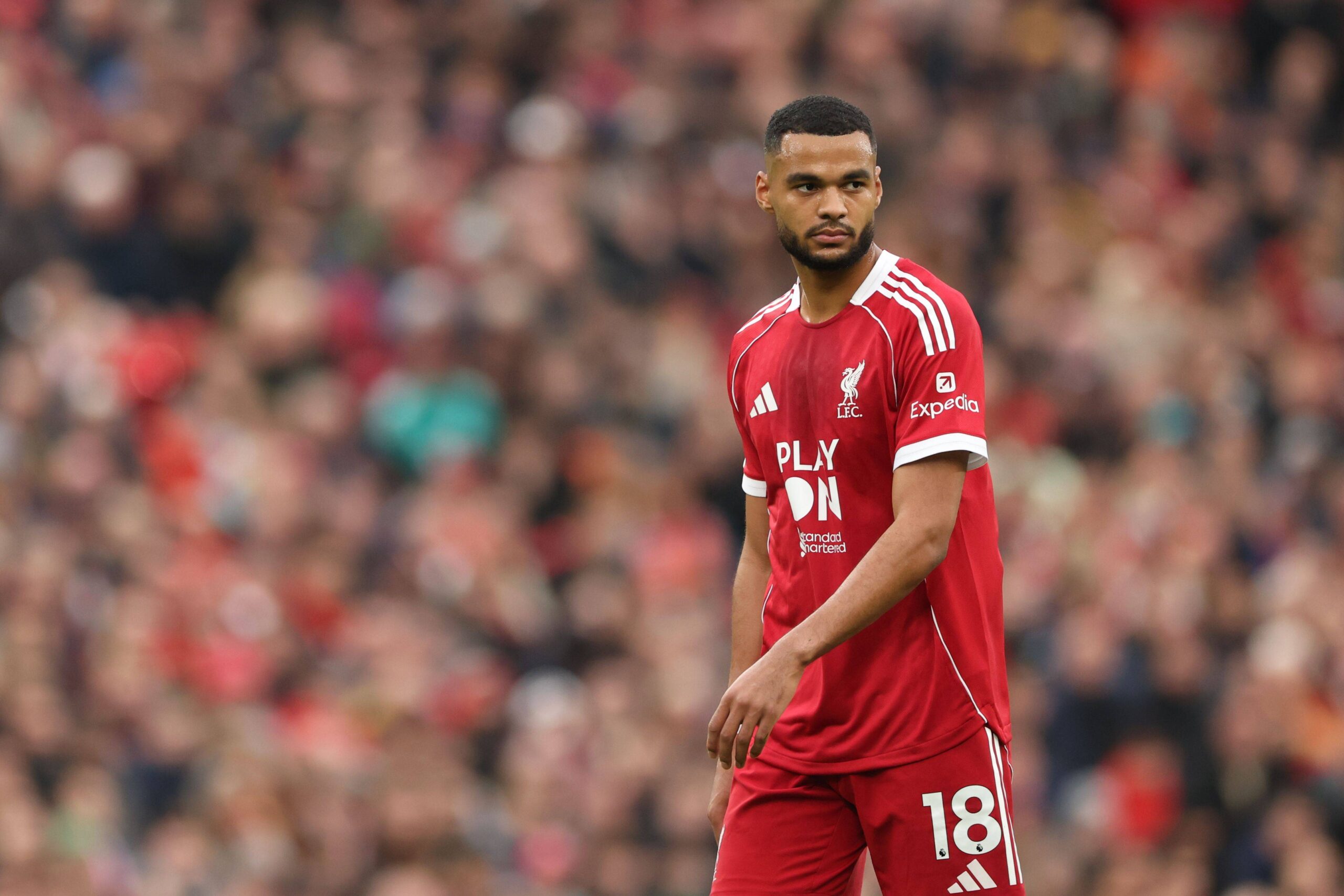 Gakpo Transferi: Tottenham Liverpool'un Yıldızını İstiyor
