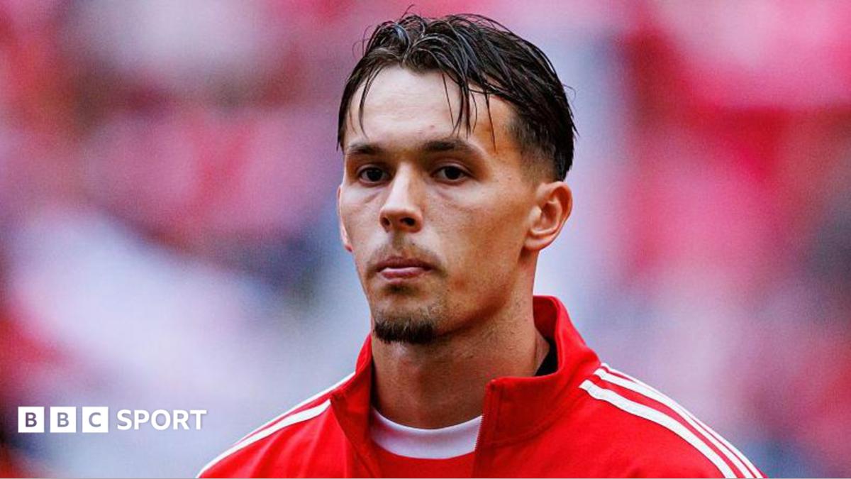 Newcastle United, Benfica Stoperi Amar Dedic İçin Görüşmelerde