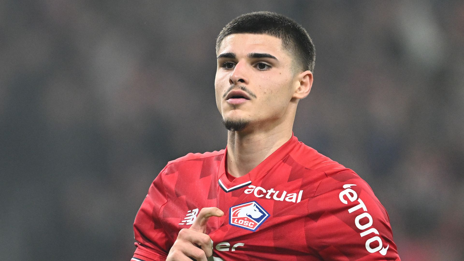 Newcastle, Lille'in Yıldızı Fernandez-Pardo İçin Kolları Sıvadı