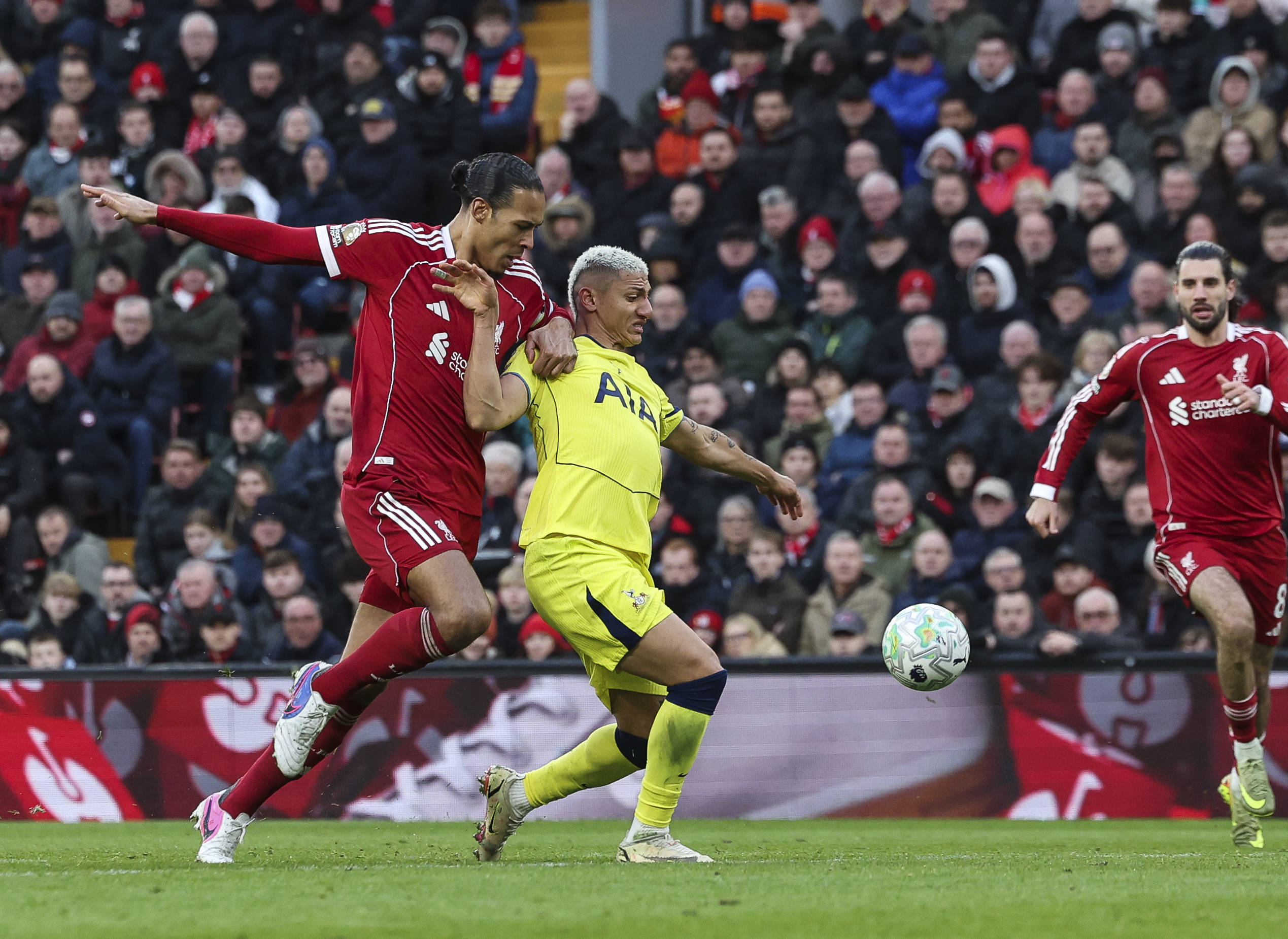 Richarlison, Tottenham'ın Liverpool Kupa Maçında Oynayabilir