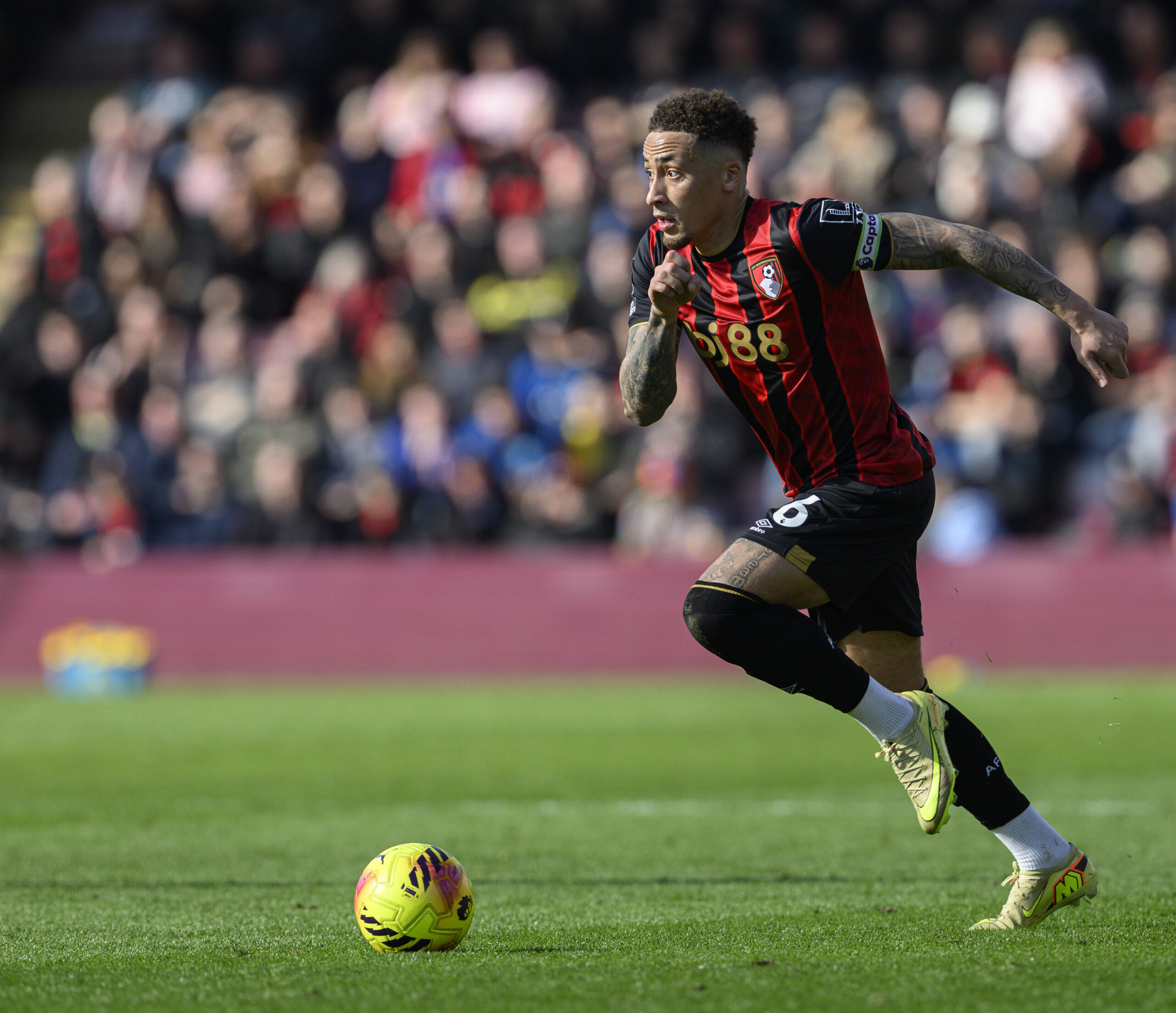 Marcus Tavernier'a İngiltere Daveti: Bournemouth Yıldızı Tuchel'in Radarına Girdi