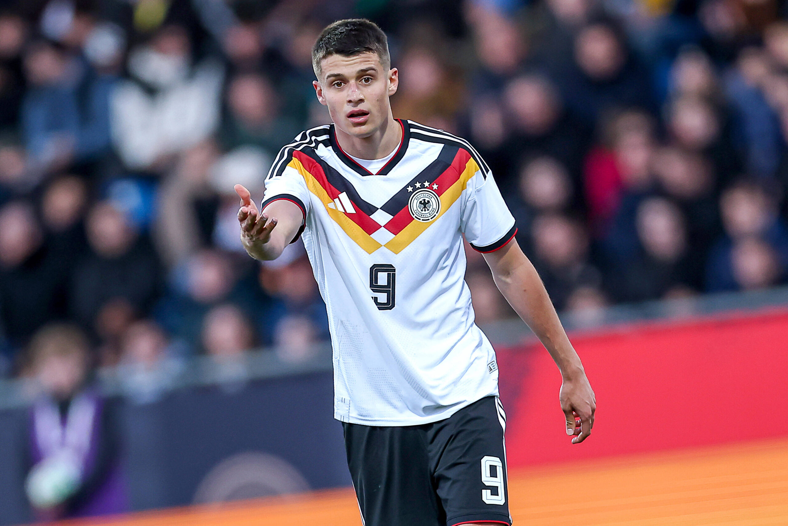 Everton, Nicolò Tresoldi için yarışa katıldı